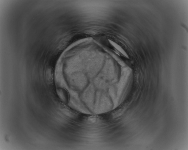 X0000096950420200803071032