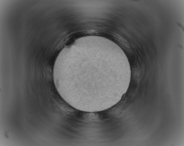 X0000096950421200803071032