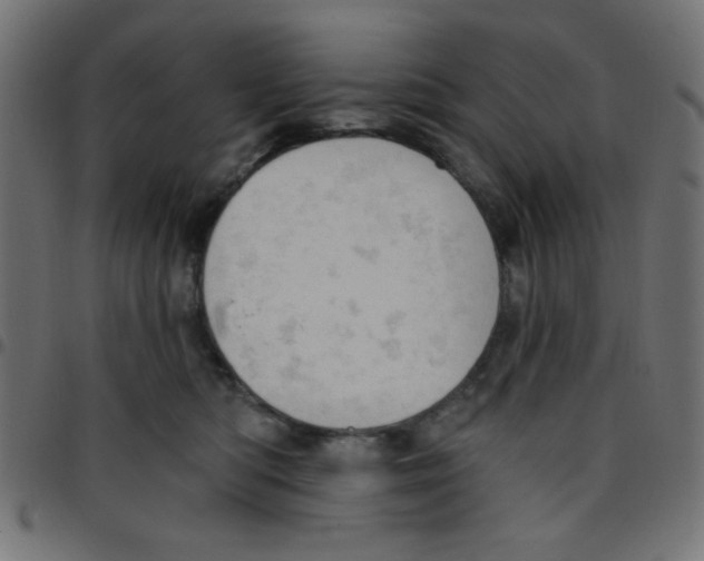 X0000096950422200803071032