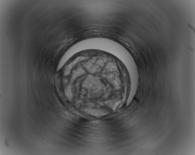 X0000096950423200803071032