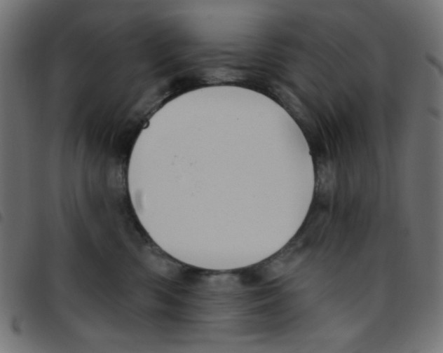 X0000096950426200803071032