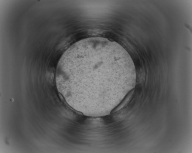 X0000096950427200803071032