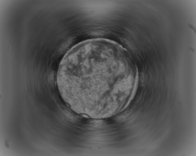 X0000096950428200803071032