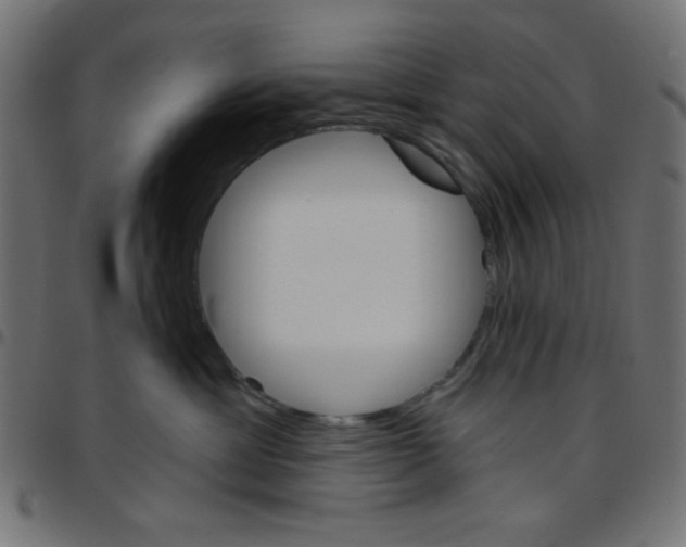 X0000096950429200803071032