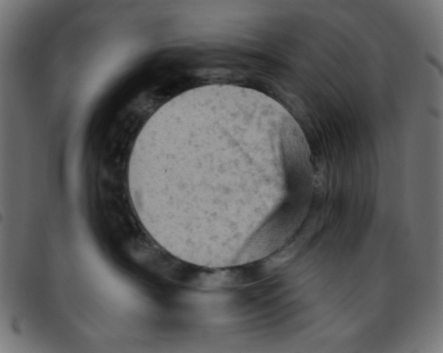 X0000096950430200803071032