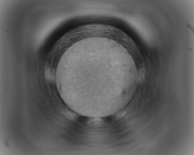 X0000096950431200803071032