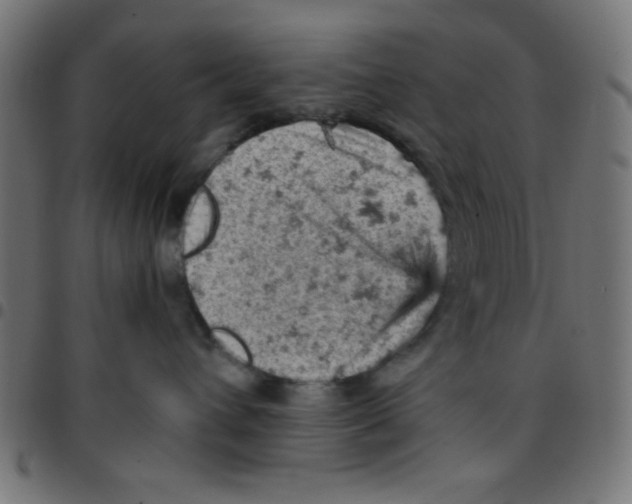 X0000096950432200803071032