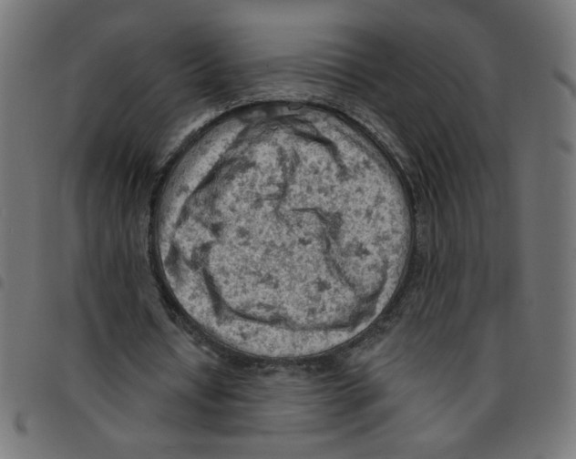 X0000096950434200803071031