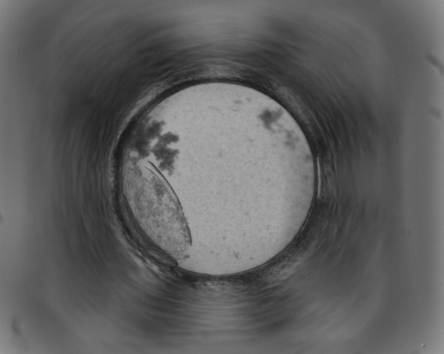 X0000096950435200803071032