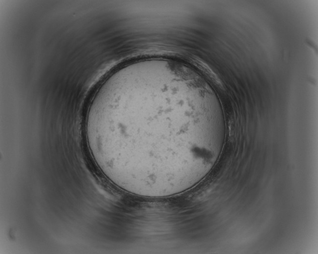 X0000096950436200803071032