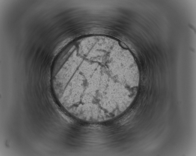 X0000096950437200803071032