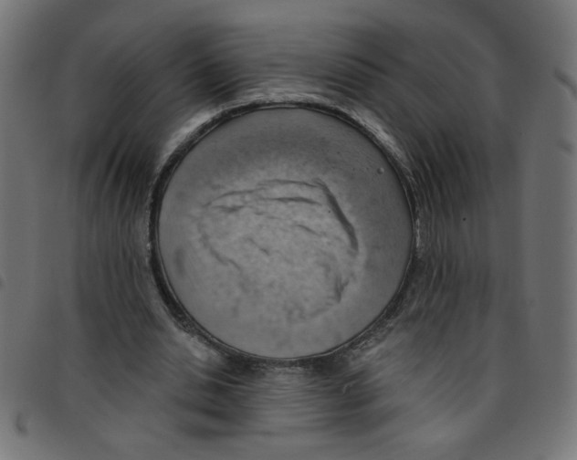 X0000096950438200803071032