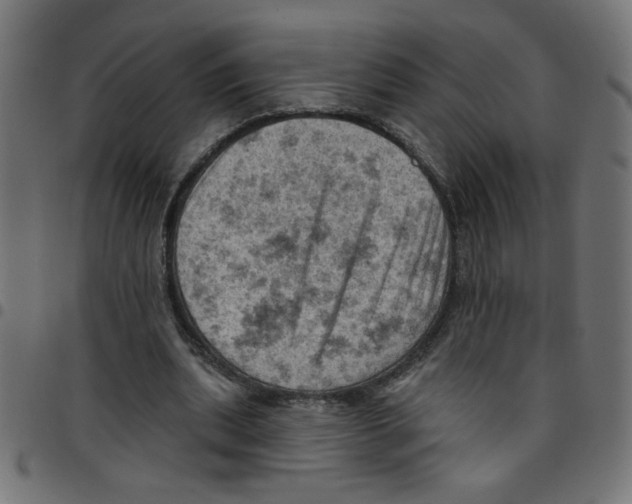 X0000096950439200803071032
