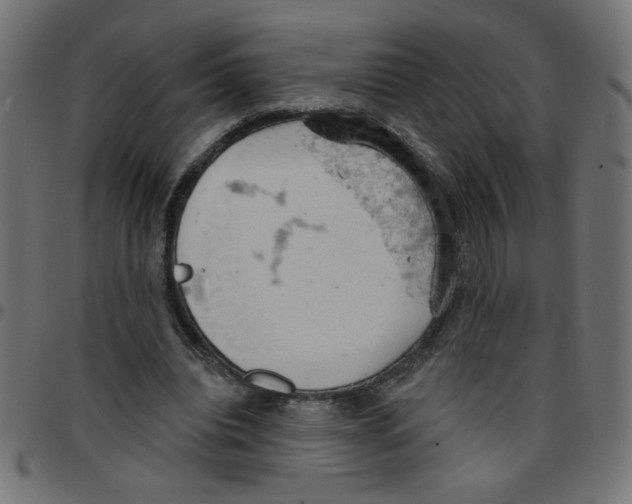 X0000096950440200803071032