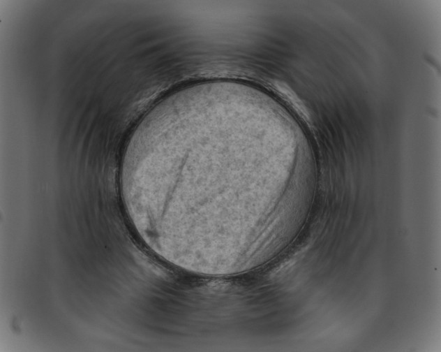 X0000096950441200803071032