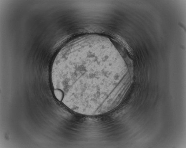 X0000096950442200803071032