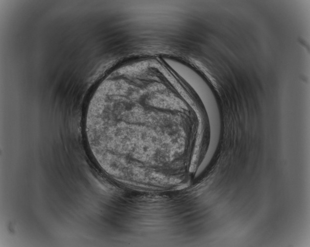 X0000096950443200803071032