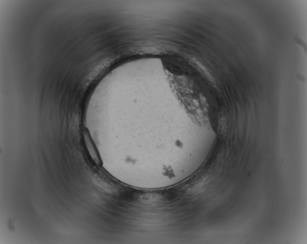 X0000096950444200803071032
