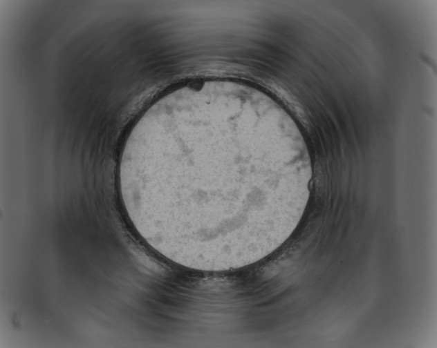 X0000096950445200803071032