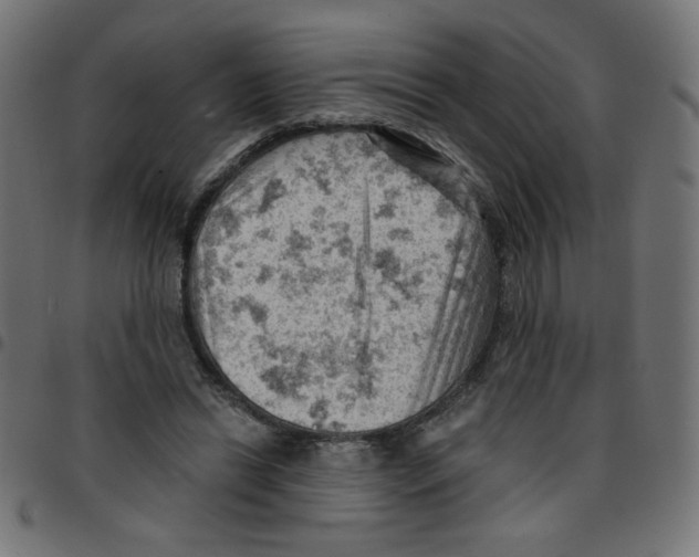 X0000096950446200803071032