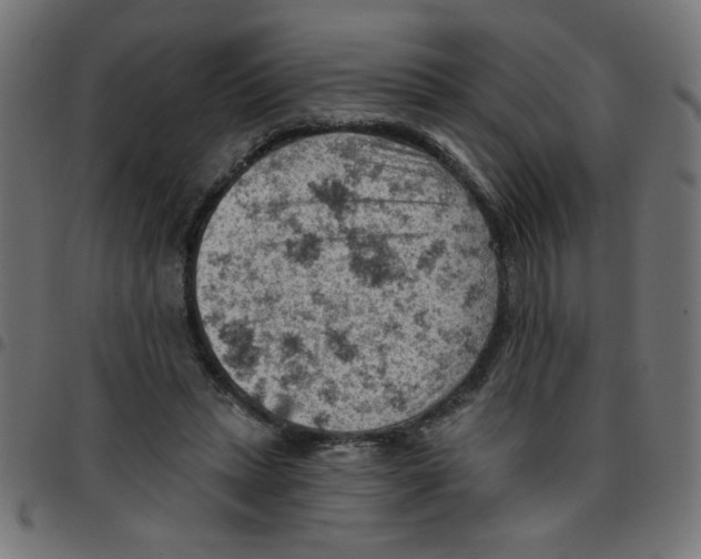 X0000096950447200803071032