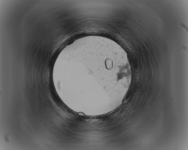 X0000096950448200803071032