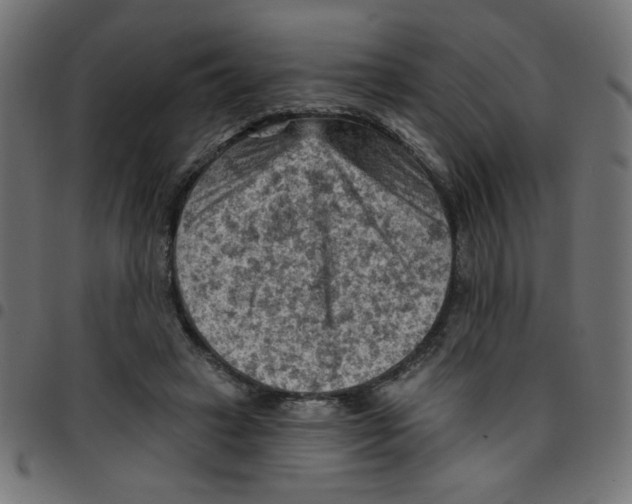 X0000096950449200803071032