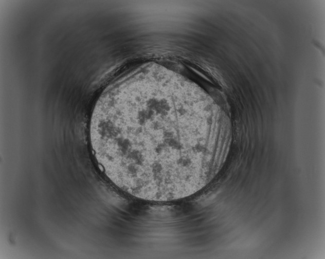 X0000096950450200803071032