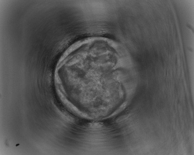 X0000096950451200803071032