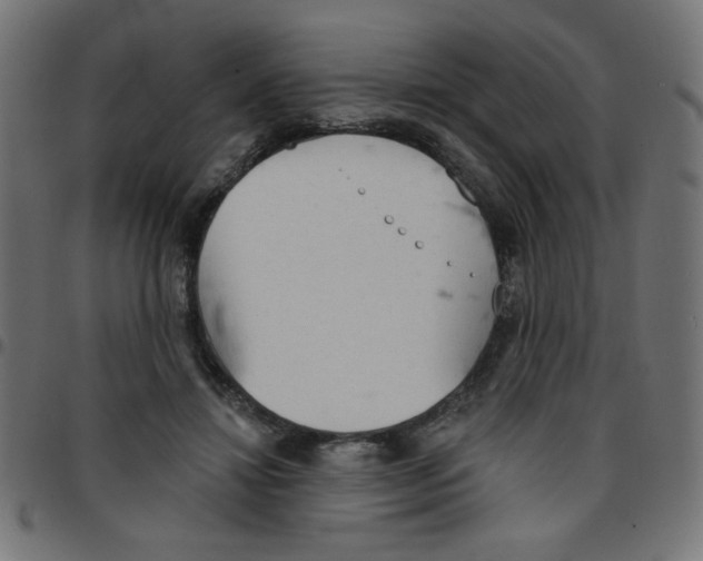 X0000096950452200803071032