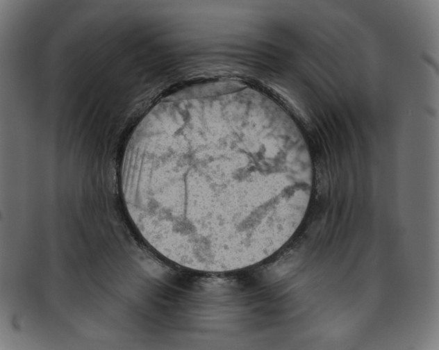 X0000096950453200803071032