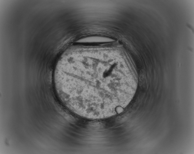 X0000096950454200803071032