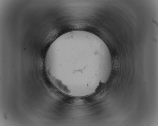 X0000096950456200803071032