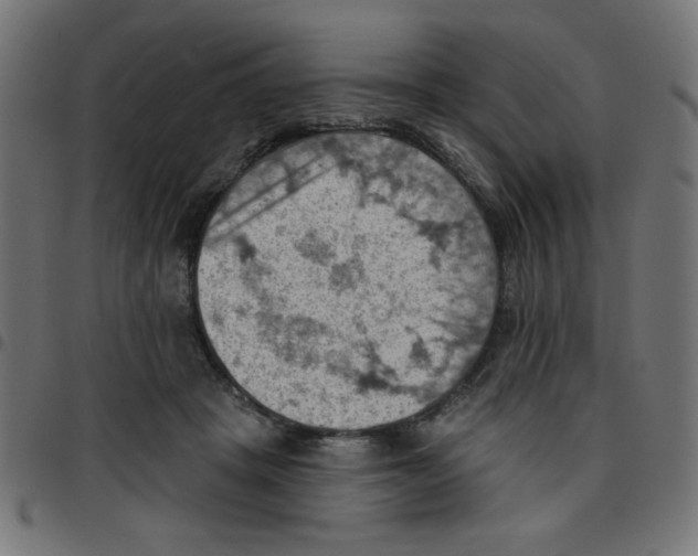 X0000096950457200803071032