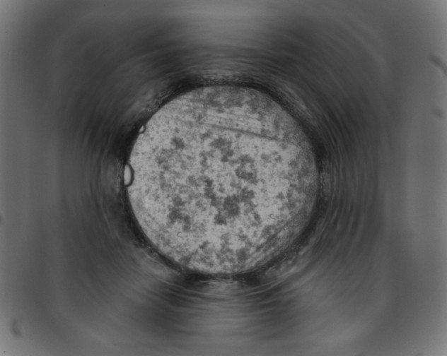 X0000096950458200803071032