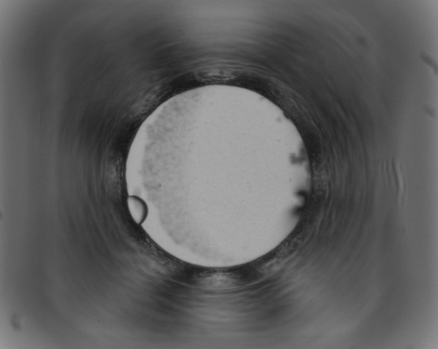 X0000096950460200803071032