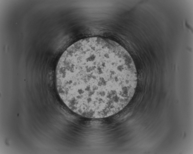 X0000096950462200803071032