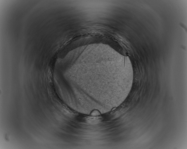 X0000096950465200803071032
