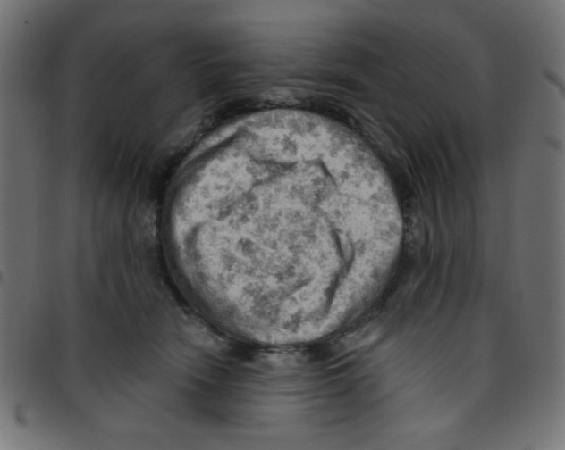 X0000096950466200803071032