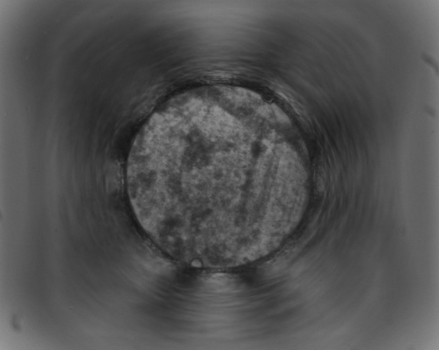 X0000096950467200803071032