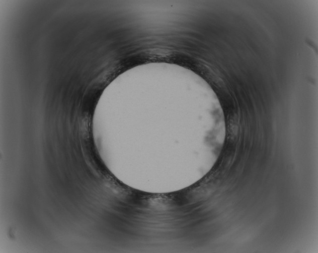 X0000096950468200803071032