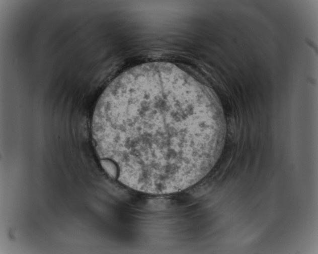 X0000096950470200803071032
