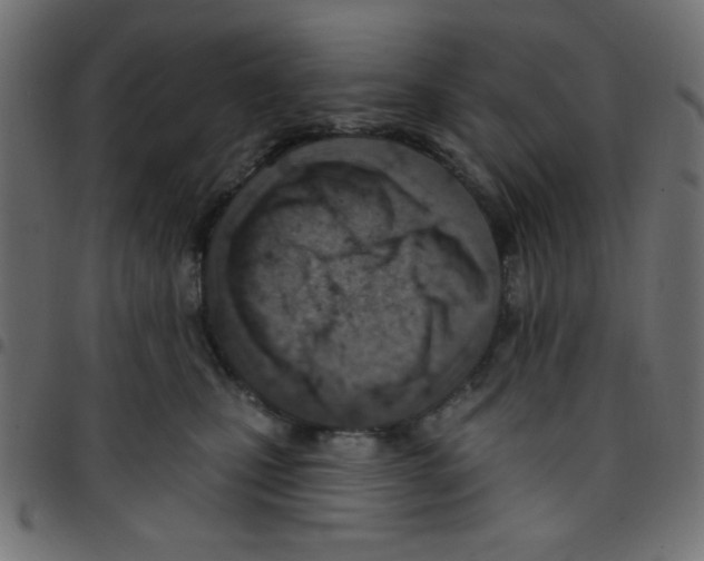 X0000096950471200803071032