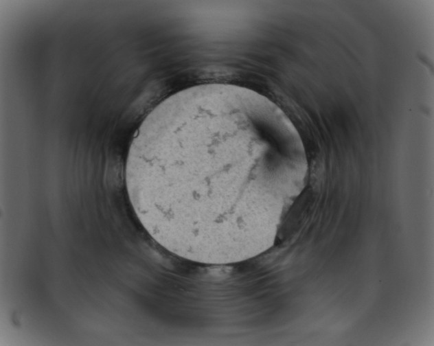 X0000096950474200803071032