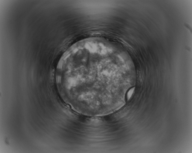 X0000096950475200803071032