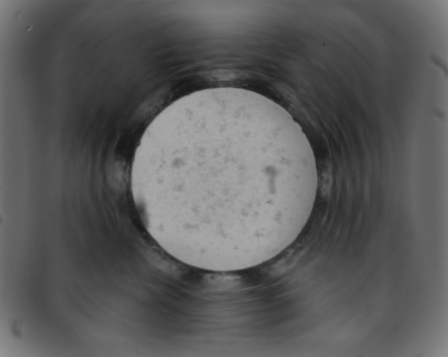 X0000096950476200803071032