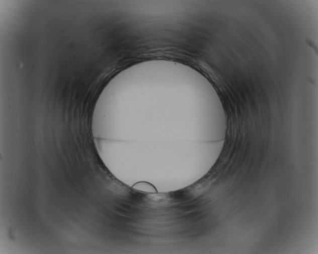 X0000096950477200803071032