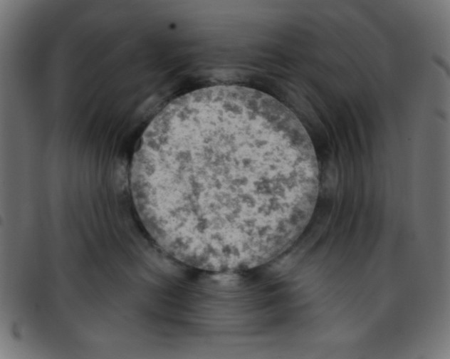 X0000096950478200803071032
