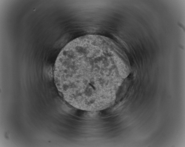 X0000096950479200803071032