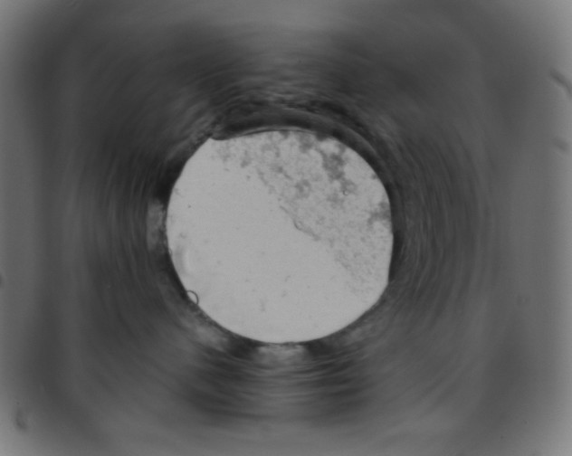 X0000096950480200803071032